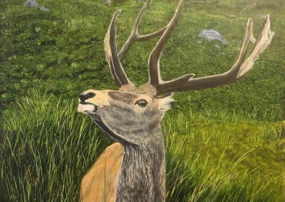 Highland Stag by Derek Honour