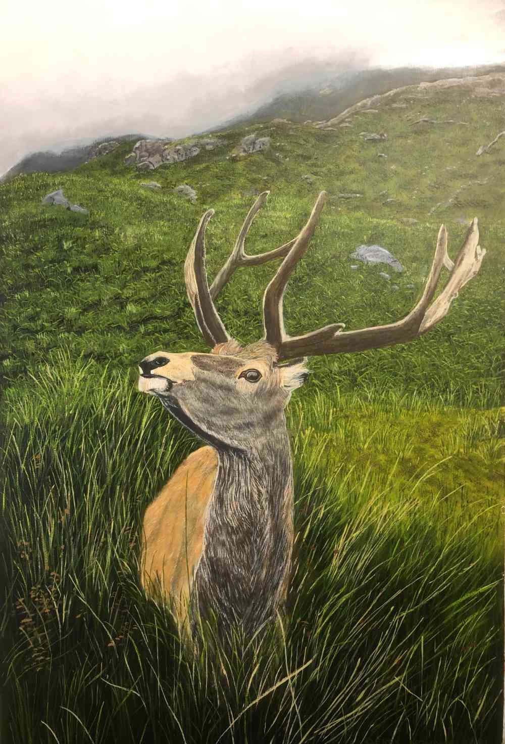 Highland Stag by Derek Honour
