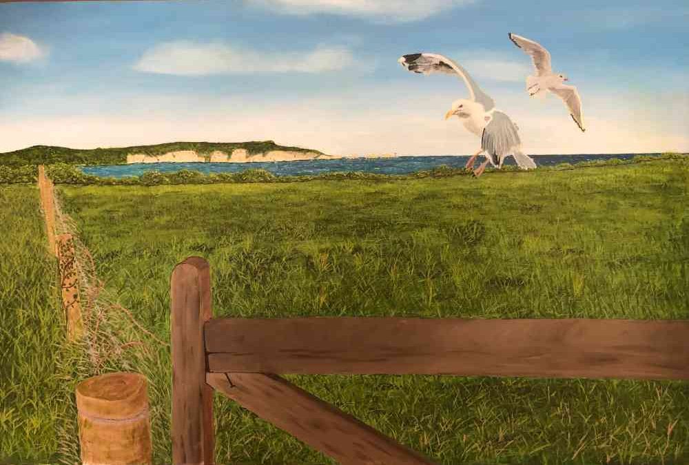 Hungry Gulls Milford