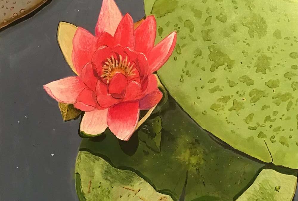 Lily