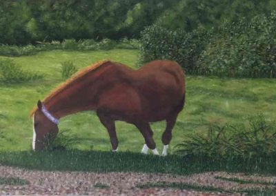 New Forest Horse by Derek Honour