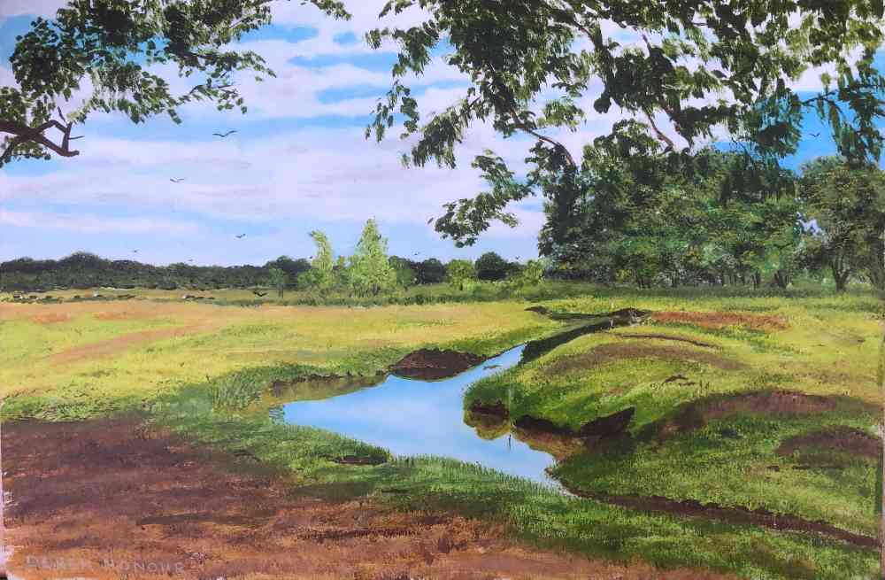 New Forest Stream