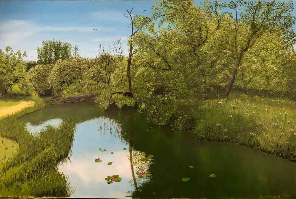 Still River Boldre New Forest