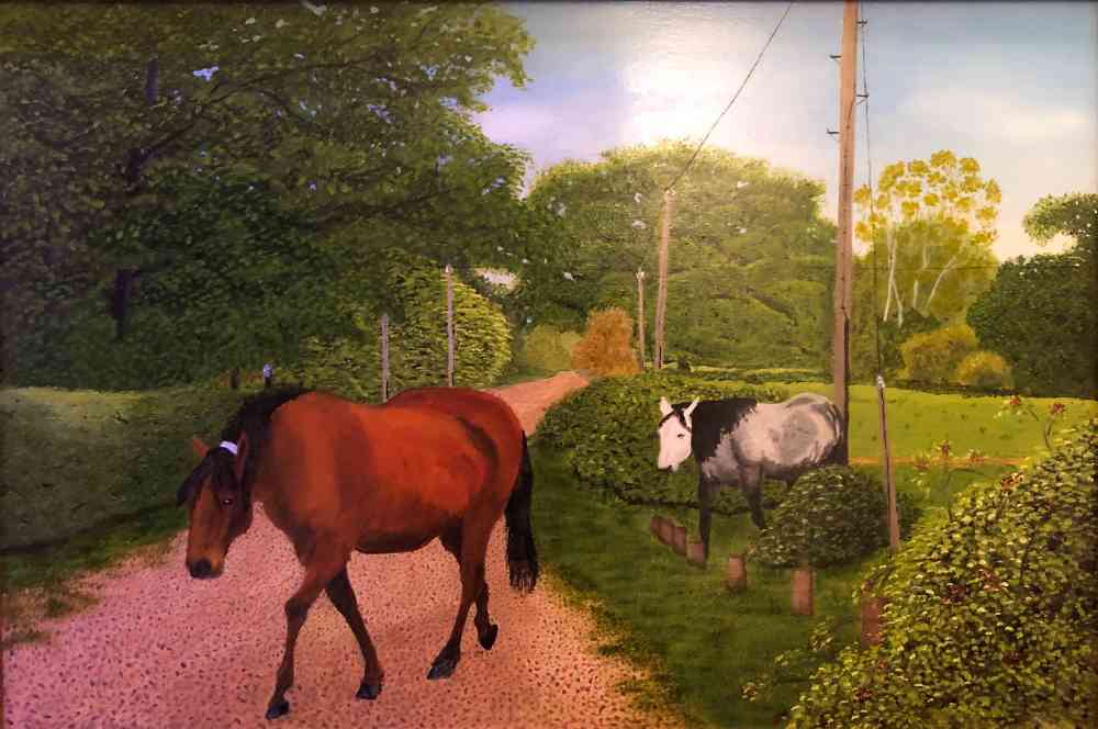 Stoney Crossing Burly New Forest