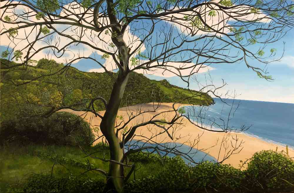 Windswept Tree Devon