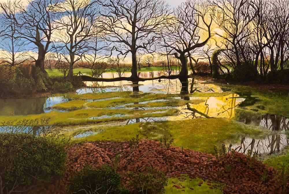 Reflected Waterfalls by Derek Honour
