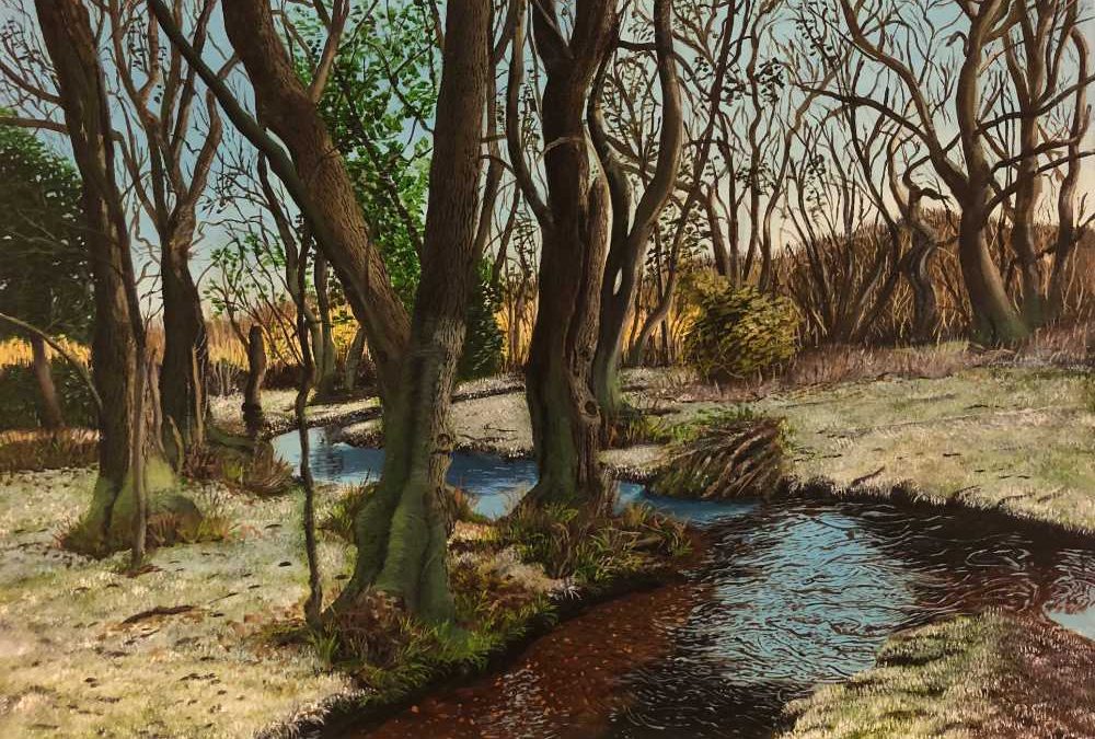 Frosty Morning in the New Forest by Derek Honour