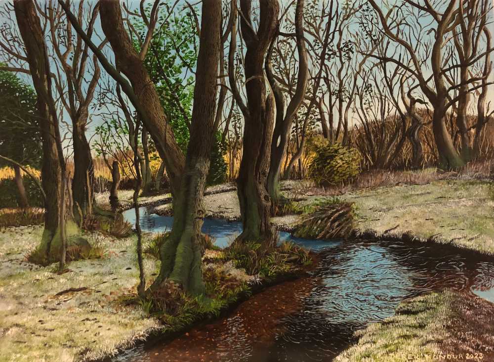 Frosty Morning in the New Forest by Derek Honour