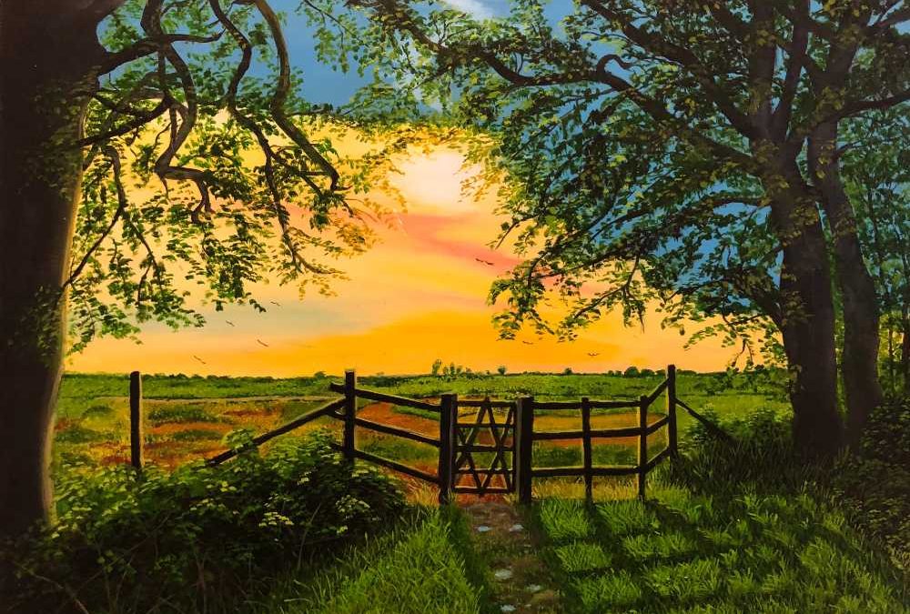 Sunrise in the New Forest