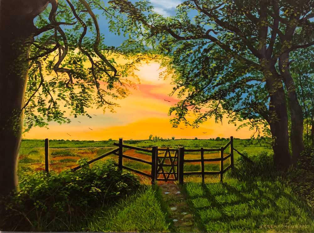 Sunrise in the New Forest
