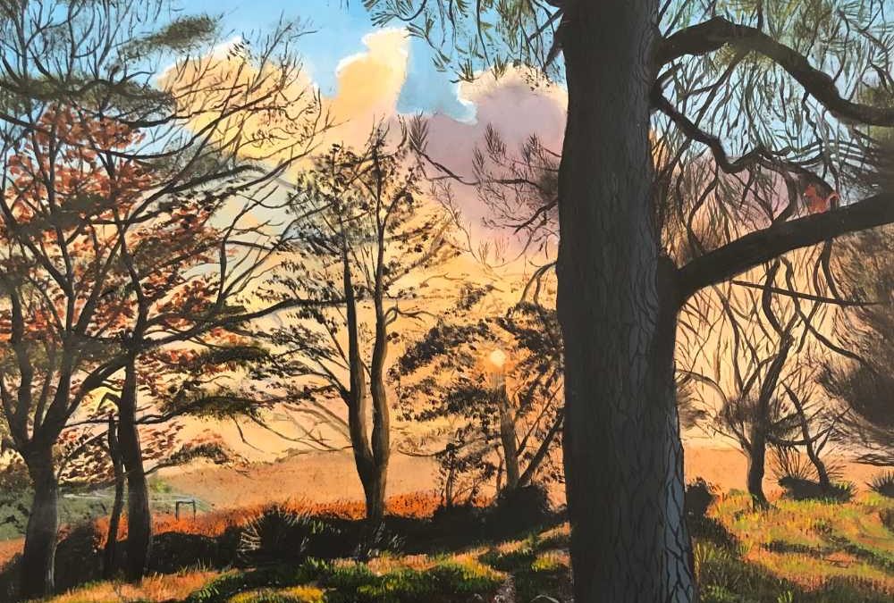 Enchanting shades of the New Forest