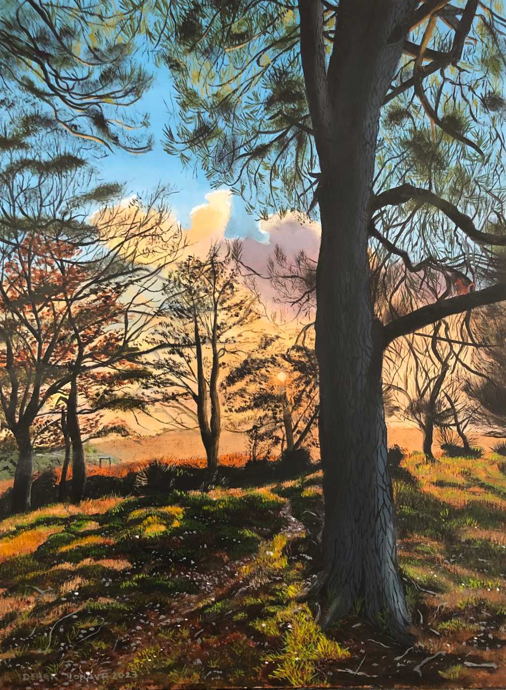 Enchanting shades of the New Forest