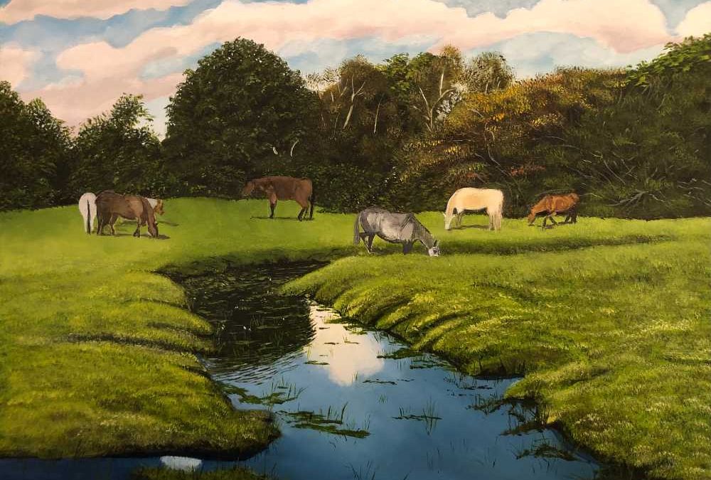 The Ponies of Burley