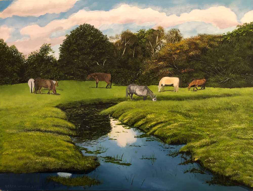 The Ponies of Burley