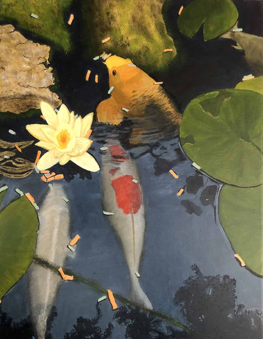 Feeding Koi Carp