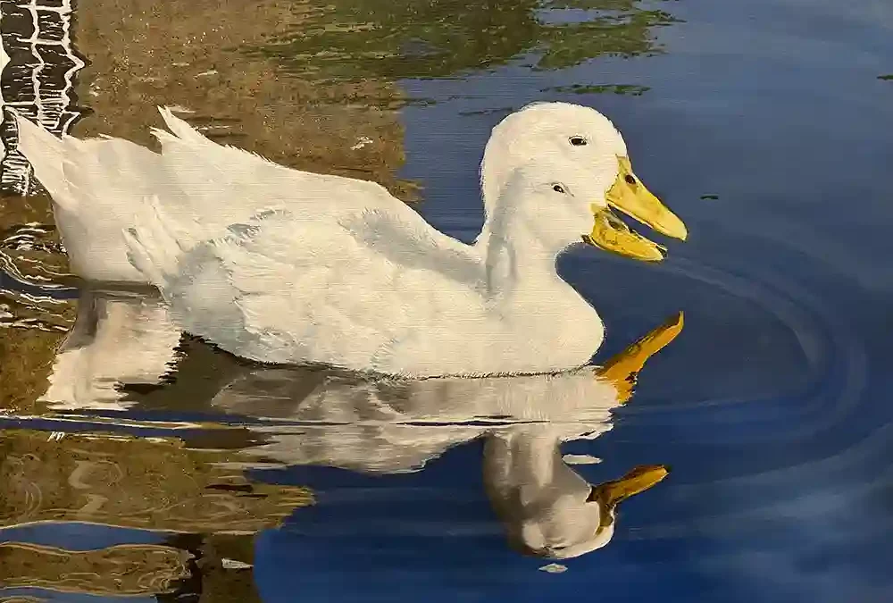 Pair of Ducks in the New Forest