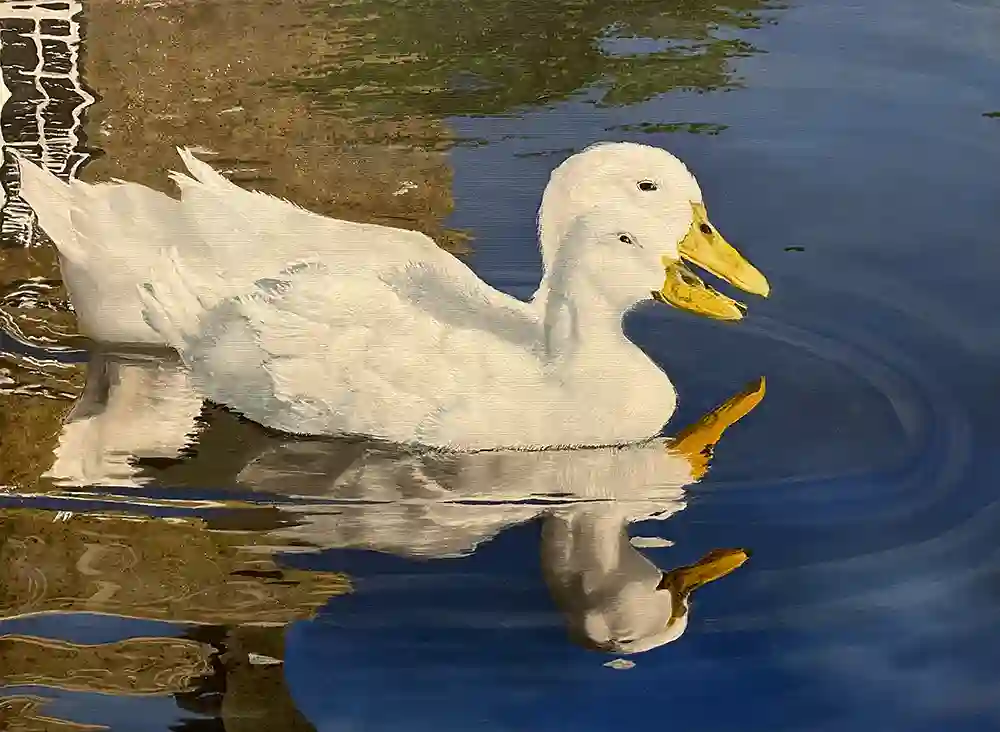 Pair of Ducks in the New Forest