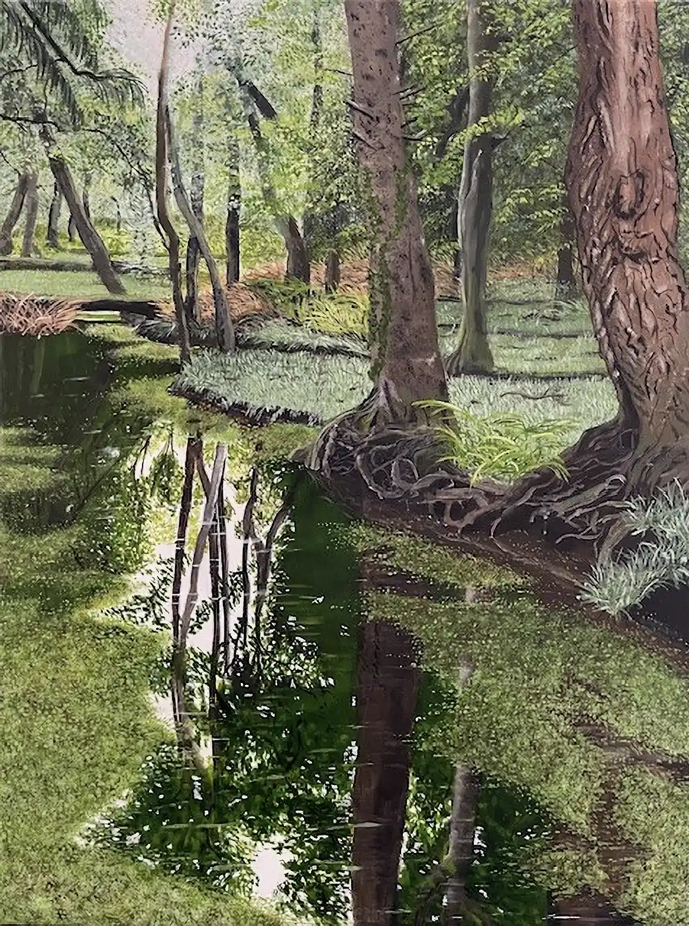 New Forest Pond
