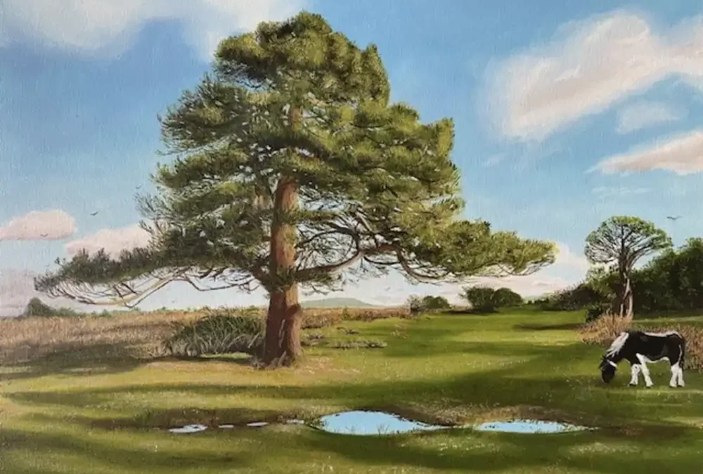 Wilverley Park Plain New Forest