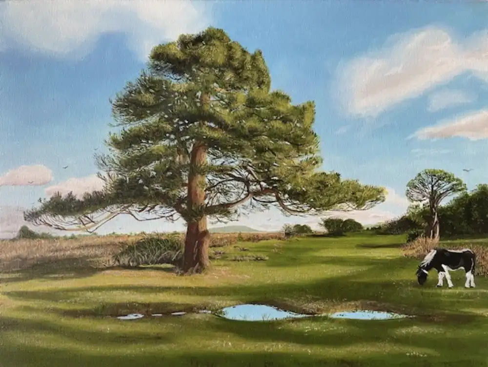 Wilverley Park Plain New Forest