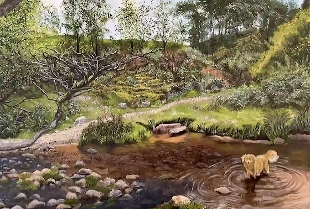 Summer frolics in a Brockenhurst Pond