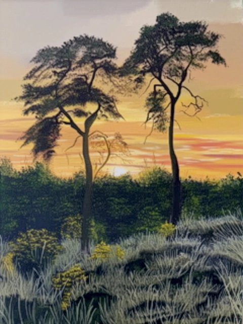 SUNSET OVER THE NEW FOREST