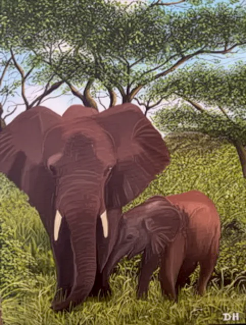 WILD AFRICA