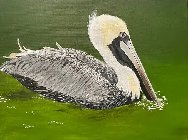 Pelican