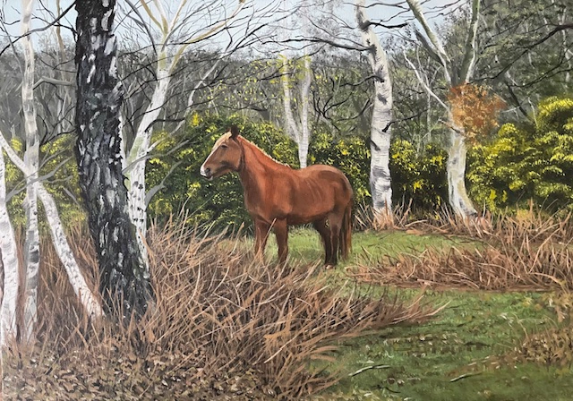 New Forest Pony