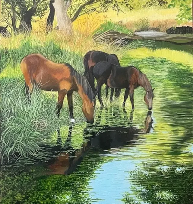 Ponies of the New Forest