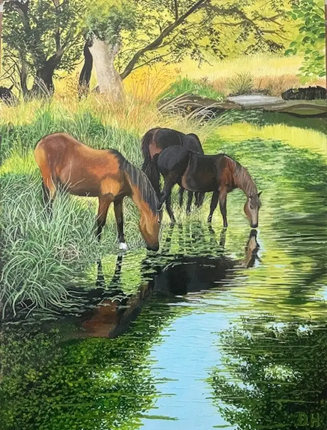 Ponies of the New Forest